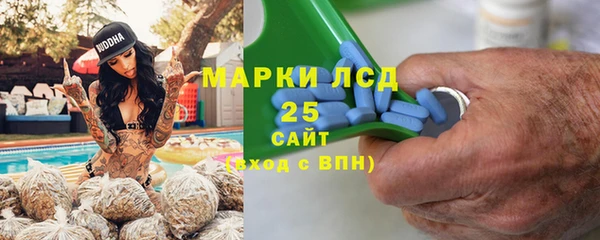 гидра Кондопога